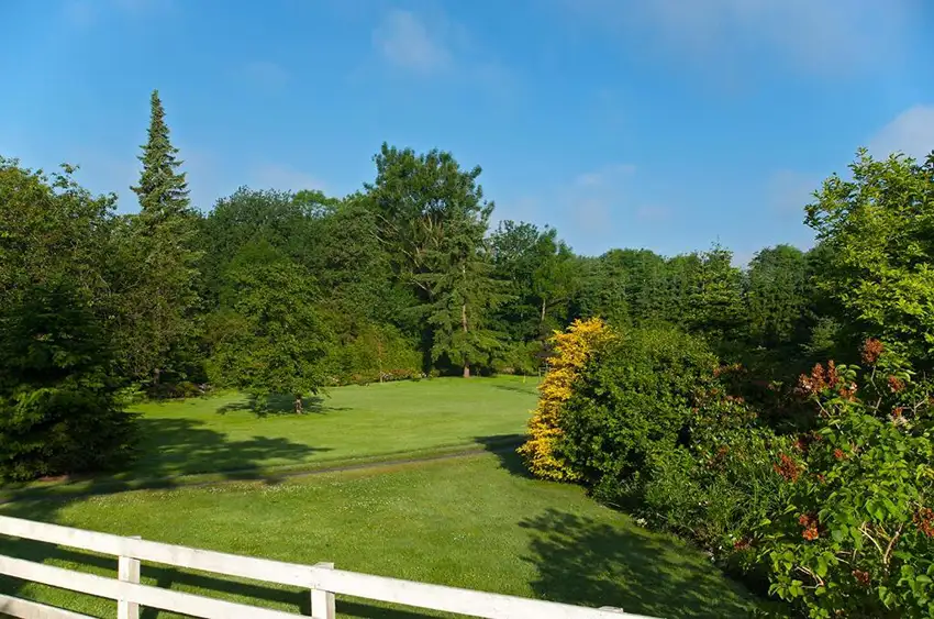 Familienurlaub_Ferien_Bauernhof_Ferienwohnung_in_der_Naehe_Altenbruch_Otterndorf_Hof_Katthusen_Hof_Lafrenz_Mushardt